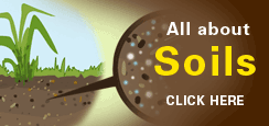 soils