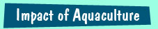 Problems of aquaculture