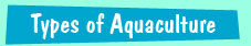 Kinds of aquaculture for kids