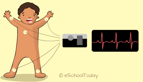 heart disease test