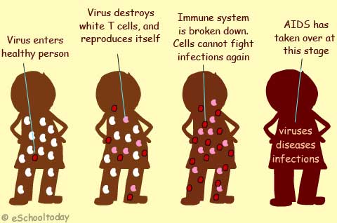 Diagnosis: A Diagnosis Of Hiv Positive Means That