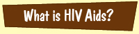 What is HIV Aids