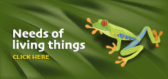 Needs of living things