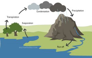 What Is The Hydrosphere and why is it important in The Earth System ...