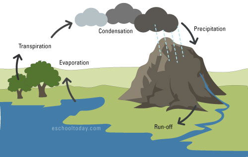 The water cycle of the hydrosphere