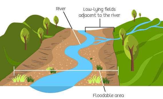 An example of a land liable to flooding