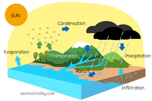 simple water cycle steps