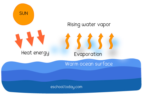 the-evaporation-stage-of-the-water-cycle