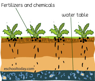 Do fertilizers cause water pollution?