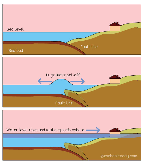 how tsunamis form