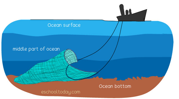 How does overfishing happen?