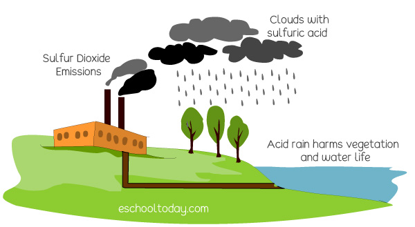 Effects of Air Pollution on humans, plants and animals | Eschooltoday