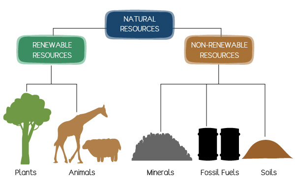 types of natural resources pictures