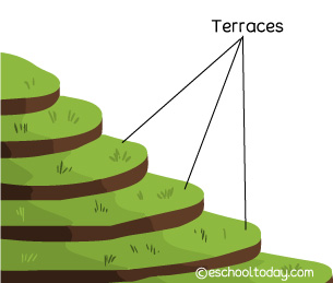 terrace farming drawing