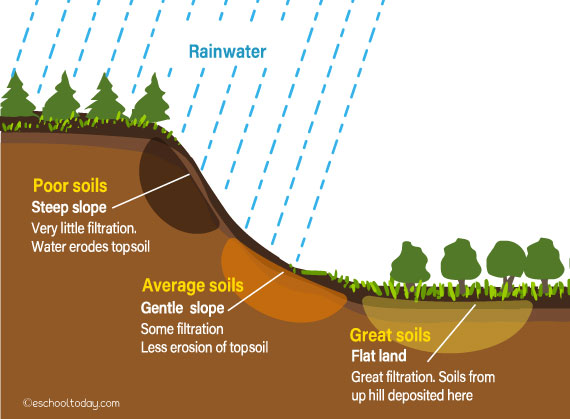 An illustration of the process of soil formation