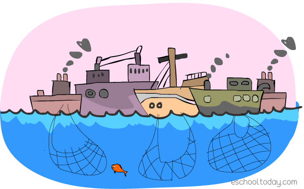 Overfishing Cartoon