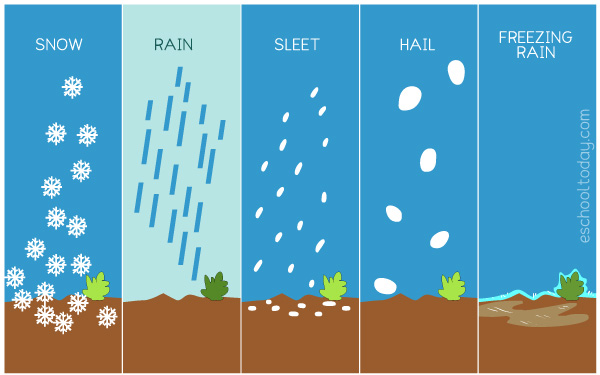 What Is Precipitation In Relation To The Water Cycle Eschooltoday
