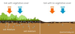 Soil Conservation – Eschooltoday