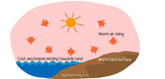 What Is A Land Breeze What Is A Sea Breeze Eschooltoday