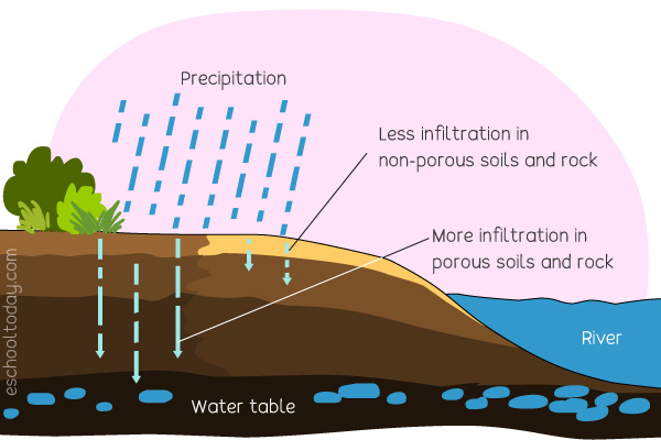 percolation water cycle definition