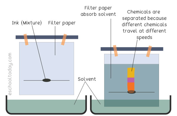 How does paper chromatography work?