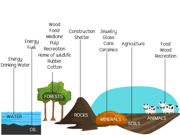 Where do natural resources come from?