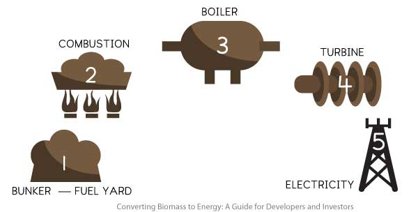 The process of biomass conversion to electricity