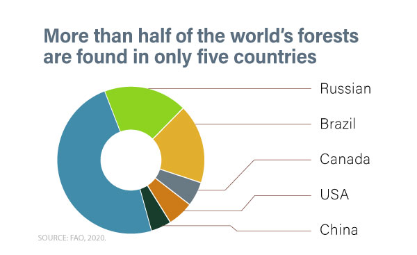 World distribution of forests