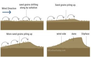 Sand Dune – Eschooltoday