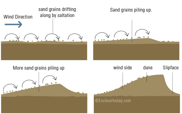 How is a sand dune formed?