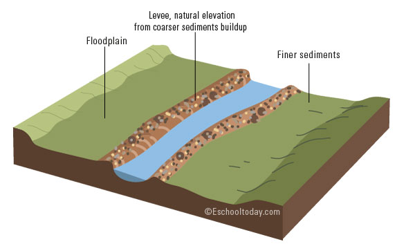 coastal plains diagram