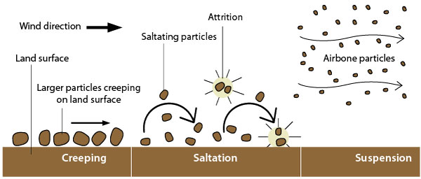 Wind Soil Erosion Diagram