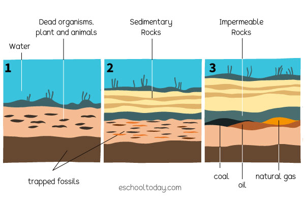Illustration of the formation of fossil fuels