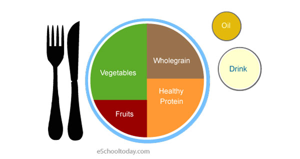 The Healthy Food Plate