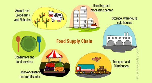 Where in the food supply chain is food wasted the most? 