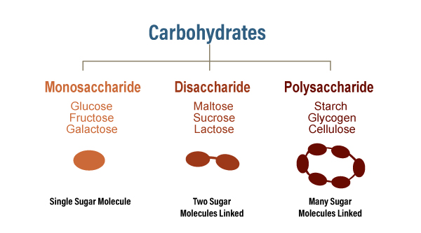 monosaccharide foods