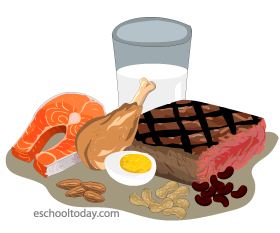 High protein foods