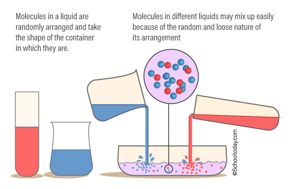 Molecules in a liquid