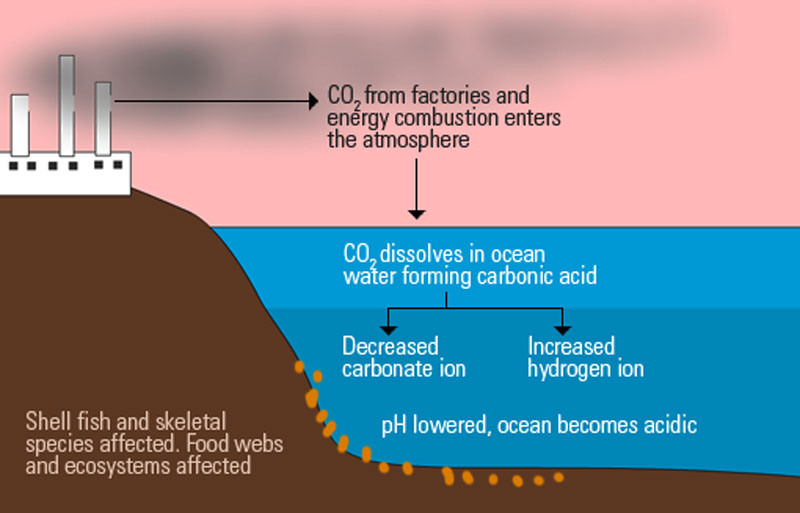 The effect of manufacturing activity on oceans