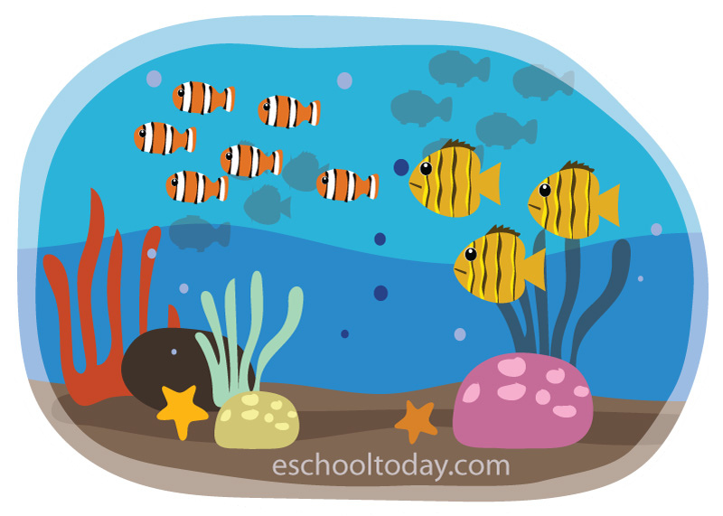 What is ocean acidification?
