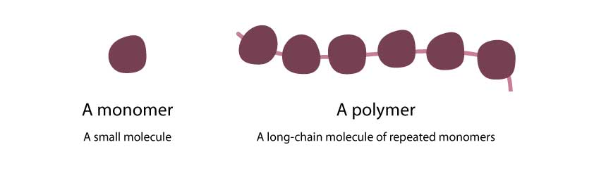 Monomer and polymer molecules