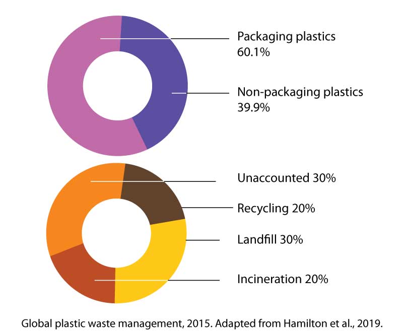 plastic waste management by technique