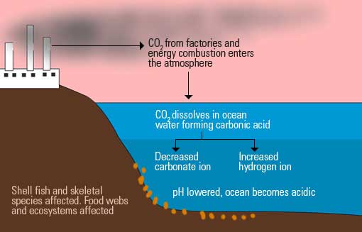 Ocean Acidification - MS Science-Climate Change - LibGuides at American