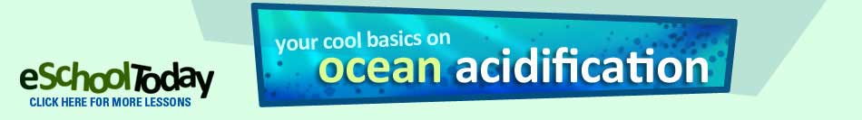 How does carbon dioxide cause ocean acidification
