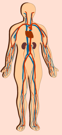 what causes pain in the sickle-cell person