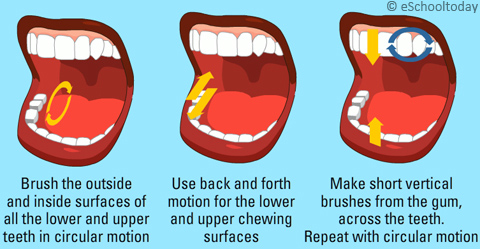 teeth brushing technique