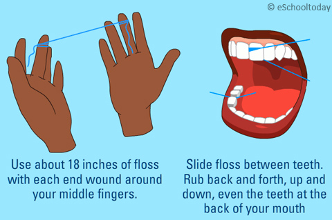 flossing your teeth